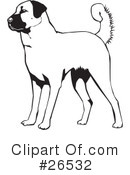 Anatolian Shepherd Clipart #26532 by David Rey