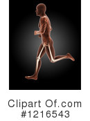 Anatomy Clipart #1216543 by KJ Pargeter