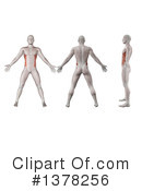 Anatomy Clipart #1378256 by KJ Pargeter