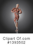 Anatomy Clipart #1393502 by KJ Pargeter