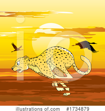 Wildcat Clipart #1734879 by Lal Perera