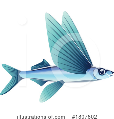 Flying Fish Clipart #1807802 by Vector Tradition SM
