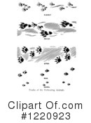 Animal Tracks Clipart #1220923 by Picsburg