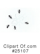 Ants Clipart #25107 by Leo Blanchette