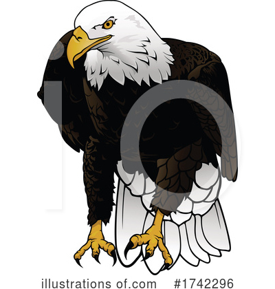 Bald Eagle Clipart #1742296 by dero