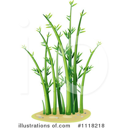 Bamboo Plant Clipart