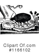 Beetle Clipart #1166102 by Prawny Vintage