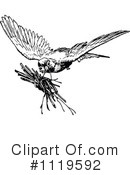 Bird Clipart #1119592 by Prawny Vintage