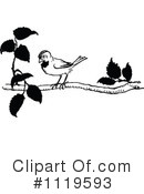 Bird Clipart #1119593 by Prawny Vintage