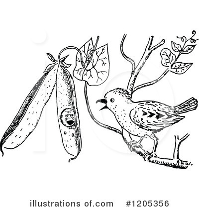 Royalty-Free (RF) Bird Clipart Illustration by Prawny Vintage - Stock Sample #1205356