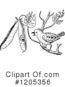 Bird Clipart #1205356 by Prawny Vintage