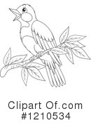 Bird Clipart #1210534 by Alex Bannykh