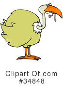 Bird Clipart #34848 by djart