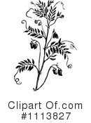Botanical Clipart #1113827 by Prawny Vintage