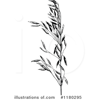 Royalty-Free (RF) Botanical Clipart Illustration by Prawny Vintage - Stock Sample #1180295