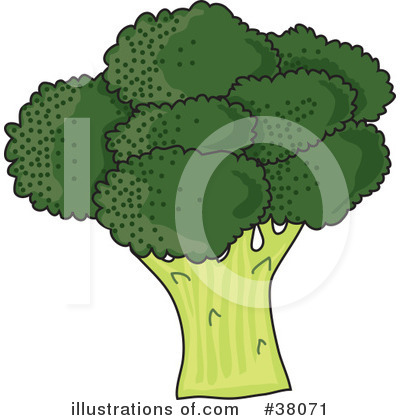 Royalty-Free (RF) Broccoli Clipart Illustration by Maria Bell - Stock Sample #38071