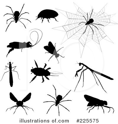 Spider Clipart #225575 by KJ Pargeter