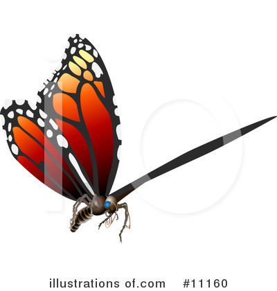 Butterfly Clipart #11160 by AtStockIllustration