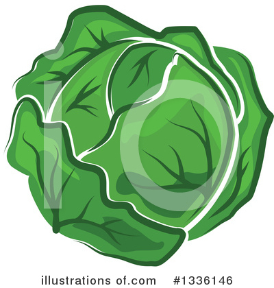 Cabbage Clipart #1336146 by Vector Tradition SM