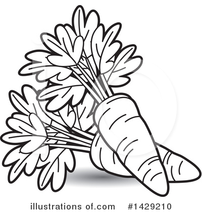 clipart carrot black and white images