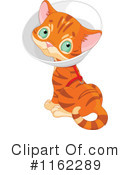 Cat Clipart #1162289 by Pushkin