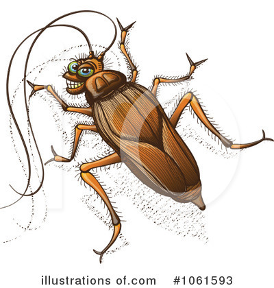 Cockroach Clipart #1061593 by Zooco