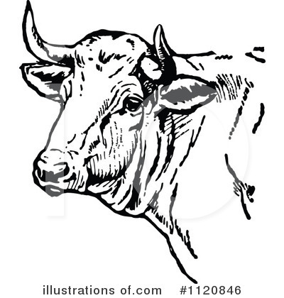 Clipart Cow Face