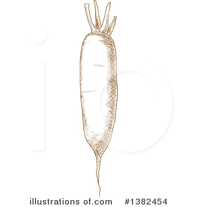 Daikon Radish Clipart #1382454 by Vector Tradition SM