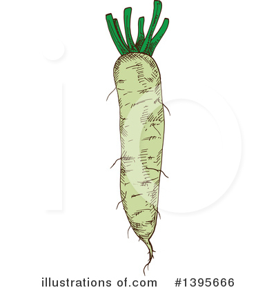 Daikon Radish Clipart #1395666 by Vector Tradition SM