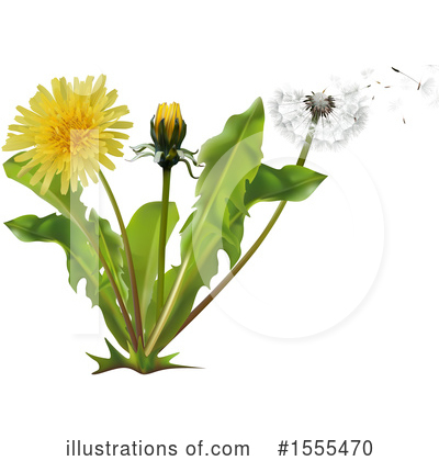 Dandelion Clipart #1555470 by dero