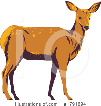 Royalty-Free (RF) Deer Clipart Illustration by patrimonio - Stock Sample #1791694