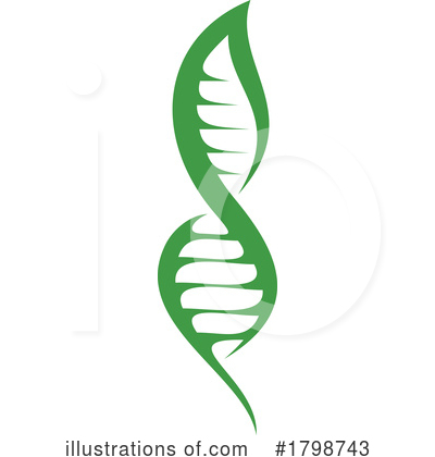 Dna Strand Clipart #1798743 by Vector Tradition SM