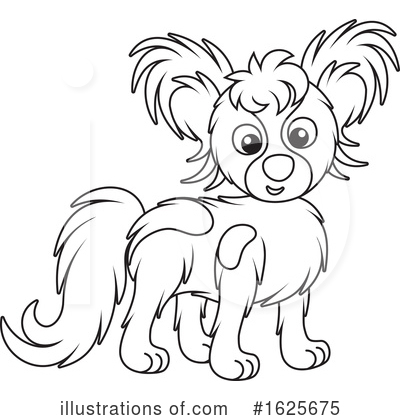 Papillon Clipart #1625675 by Alex Bannykh