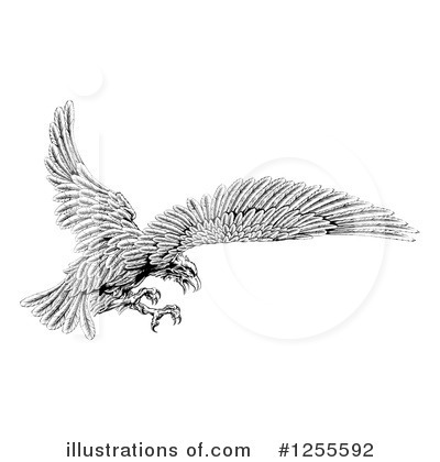 Hawk Clipart #1255592 by AtStockIllustration