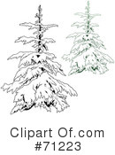 Evergreen Clipart #71223 by dero