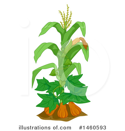 Corn Clipart #1460593 by BNP Design Studio