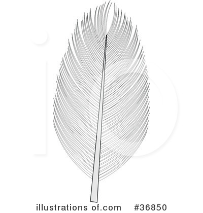 Feather Clip Art