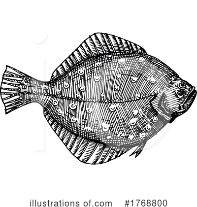 Flounder Clipart #1768800 by Vector Tradition SM