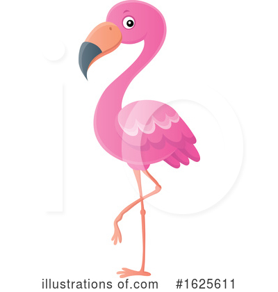 Flamingo Clipart #1625611 by visekart