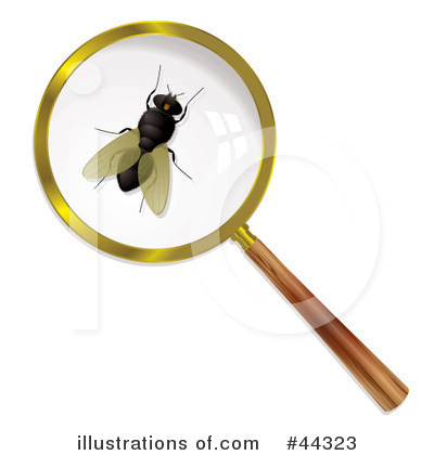 Royalty-Free (RF) Flies Clipart Illustration by michaeltravers - Stock Sample #44323