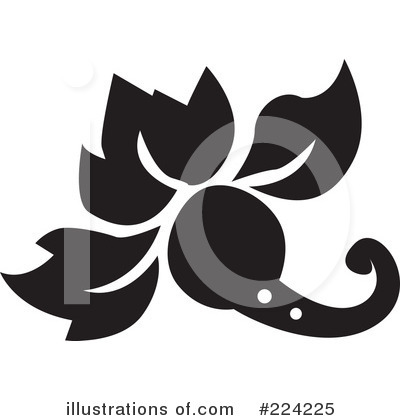 Flourish Clipart #224225 by BestVector