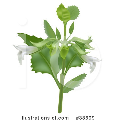 Flower Clipart #38699 by dero