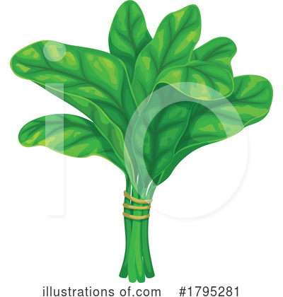 Spinach Clipart #1795281 by Vector Tradition SM