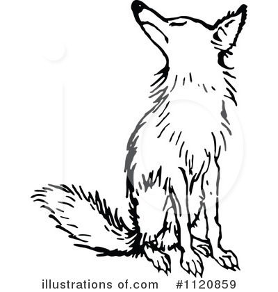 Fox Clipart #1120859 by Prawny Vintage