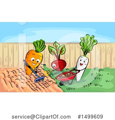 Radish Clipart #1499609 by BNP Design Studio