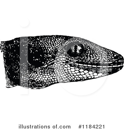 Lizard Clipart #1184221 by Prawny Vintage