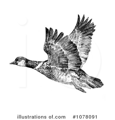 Royalty-Free (RF) Geese Clipart Illustration by JVPD - Stock Sample #1078091