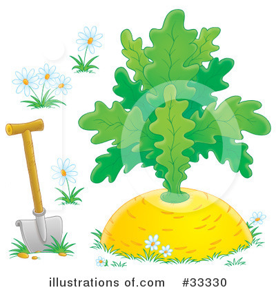 Royalty-Free (RF) Giant Turnip Clipart Illustration by Alex Bannykh - Stock Sample #33330