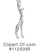 Giraffe Clipart #1129395 by Prawny Vintage