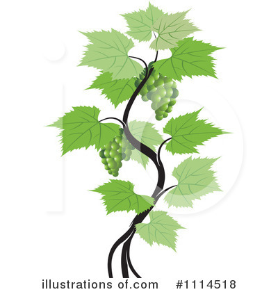 Grape Vine Clipart #1114518 by Lal Perera